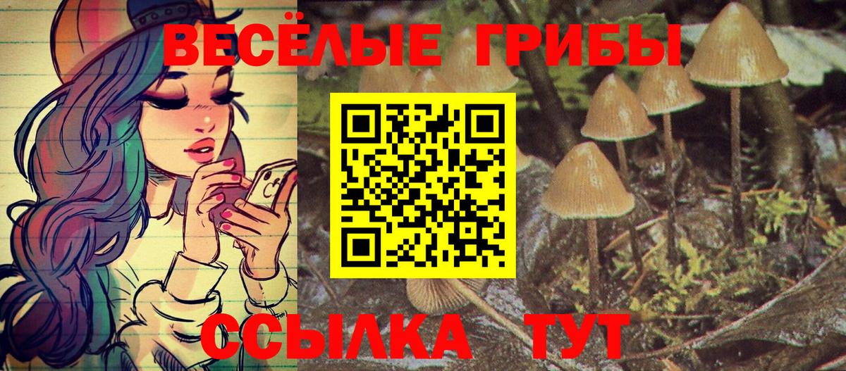 Галлюциногенные грибы Cubensis  Вход с VPN  Прохладный 